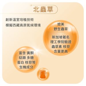 蟲草虎乳芝膠囊Cordyceps Tiger Milk Capsules：圖片 5