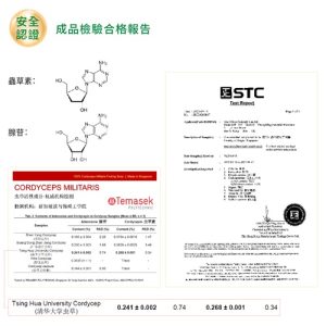 蟲草虎乳芝膠囊Cordyceps Tiger Milk Capsules：圖片 8