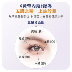 EYES+山桑子精粹膠囊：圖片 3